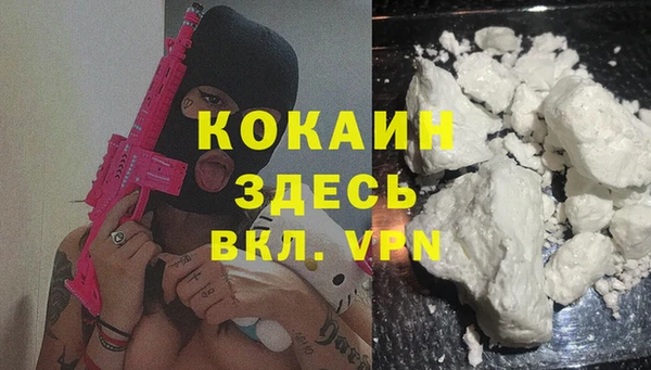 твердый Куйбышев