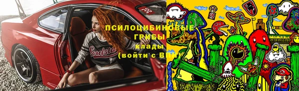 spice Кукмор