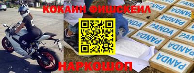 прущие грибы Изобильный