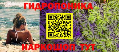 ALPHA PVP Донецк