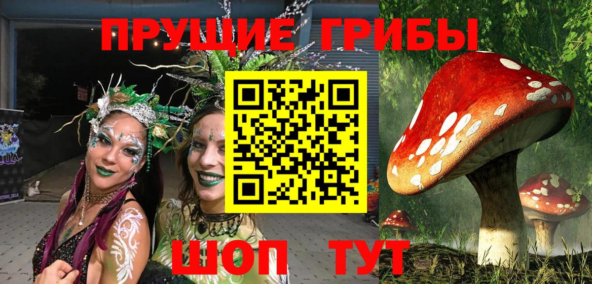 Псилоцибиновые грибы GOLDEN TEACHER Ноябрьск