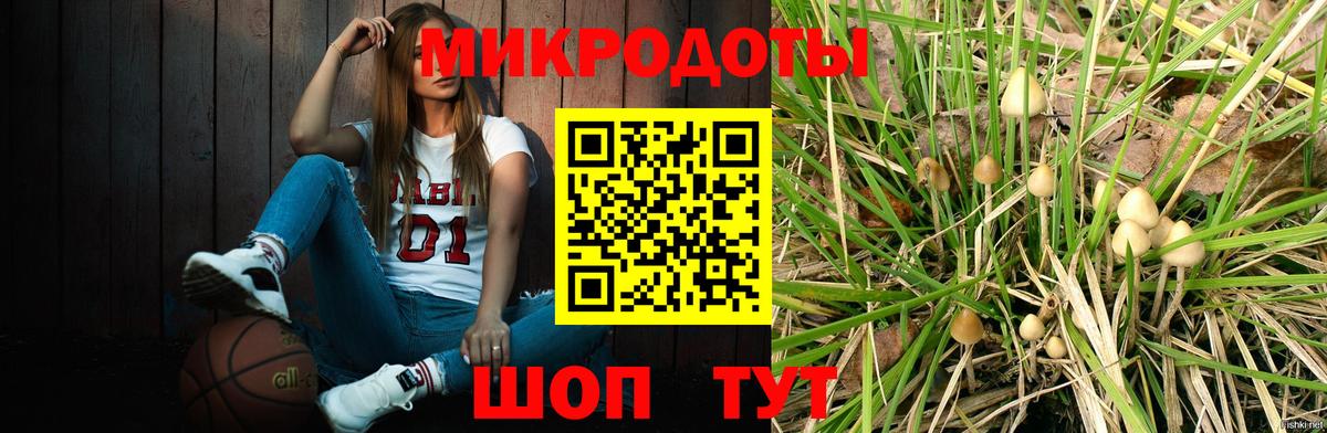 купить наркотик  Псилоцибиновые грибы мухоморы  Вход с VPN  Ноябрьск 